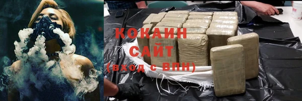 шишки Мегион