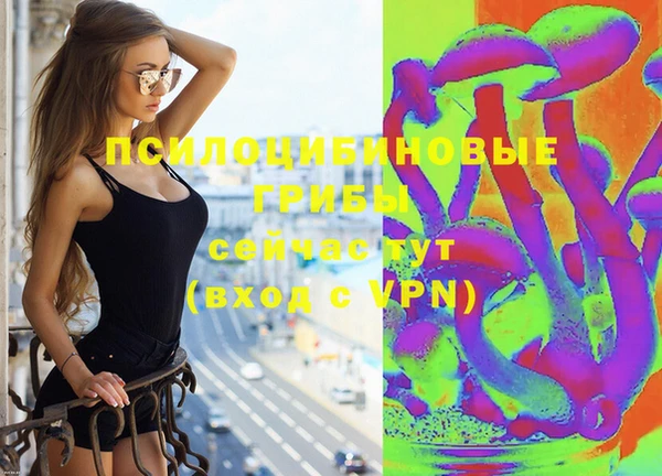 мет Медвежьегорск
