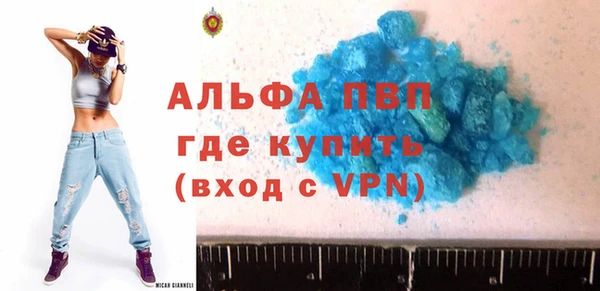 шишки Мегион