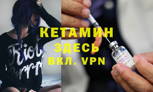шишки Мегион
