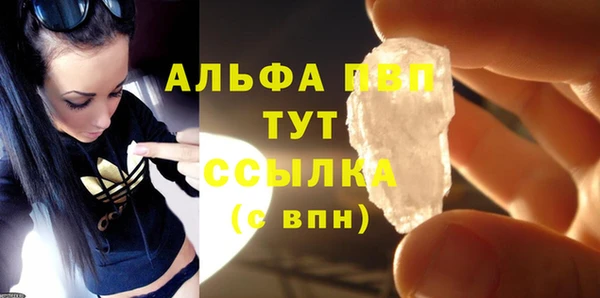 шишки Мегион