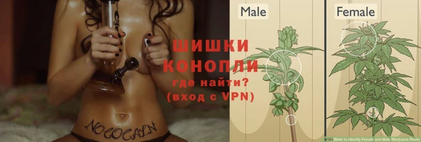 мет Медвежьегорск