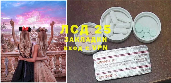 шишки Мегион