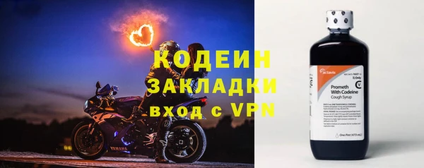 твердый Бердск