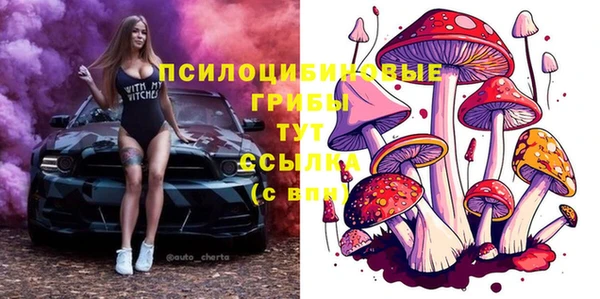 МДПВ Медногорск