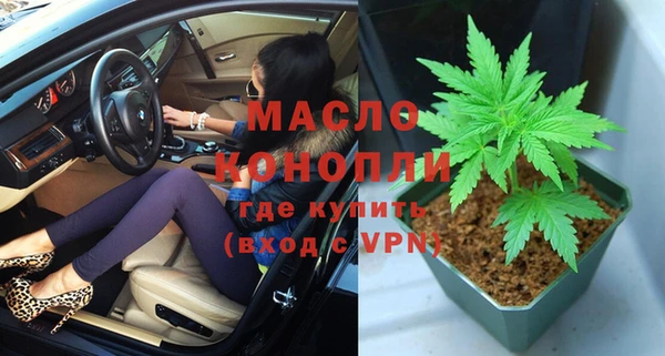 шишки Мегион