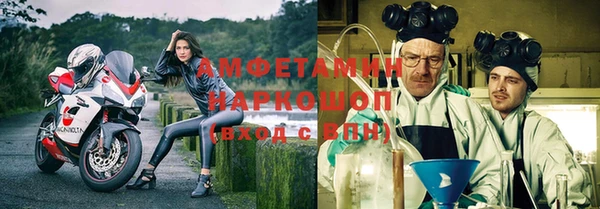 шишки Мегион