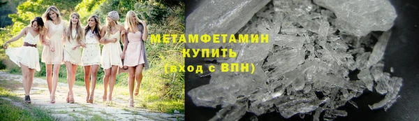 шишки Мегион