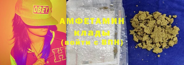 шишки Мегион