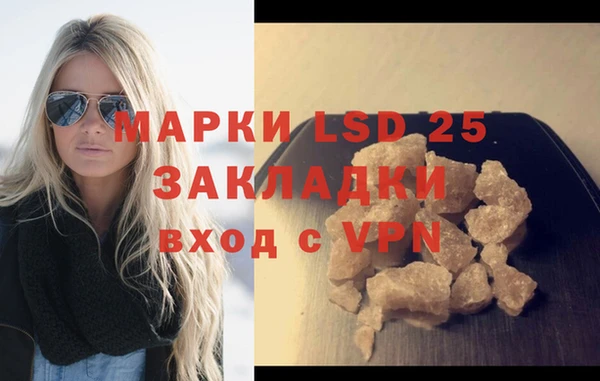 шишки Мегион