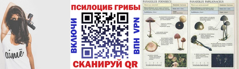 Галлюциногенные грибы Cubensis Ачхой-Мартан